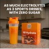 310 Nutrition Electrolitos Sin Azúcar 310 Nutrition -