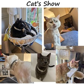 Pearl Collar for Dogs, Fancy Crystal Bling Cat Pearl Collar Rhinestone Luxury Beaded Puppy Necklace Diamond Girl Kitten Jewelry for XS Small Medium Female Pet Dogs (White, XS(Neck for 5.5-8"))