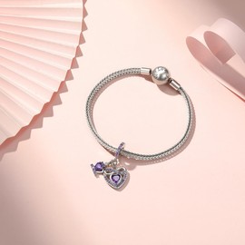 TIZU 925 Sterling Silver Birthstone Charms for Bracelets and Necklaces, Infinity Heart with Crown Bracelet, Bead Charm Jewellery Gifts for Women, Girls, Birthday, Mother's Day, Cubic Zirconia,