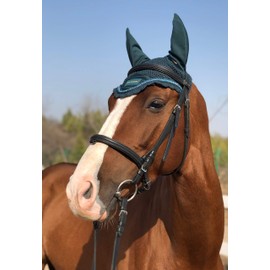 TGW RIDING Horse Ear Bonnet/Net/Hat/Horse Hood/Mask Horse Veil Horse Ear Bonnet (Pony, Turquoise)