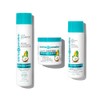 Mirta de Perales Hair Shampoo with Argan, coconut & Moringa