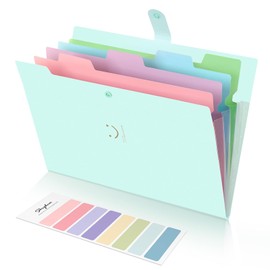 SKYDUE Expanding Folder, Folder with Compartments, Document Folder A4 with Labels, Folder System, Document Organiser for Home, Office, School and Travel (Green)
