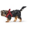 HUNTER Love Dog Harness, Colour: Brown, Soft Cowhide Leather, Breathable