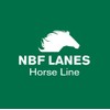 NBF Lanes Ribes Horse Respiro 10 Bags of 25 ml
