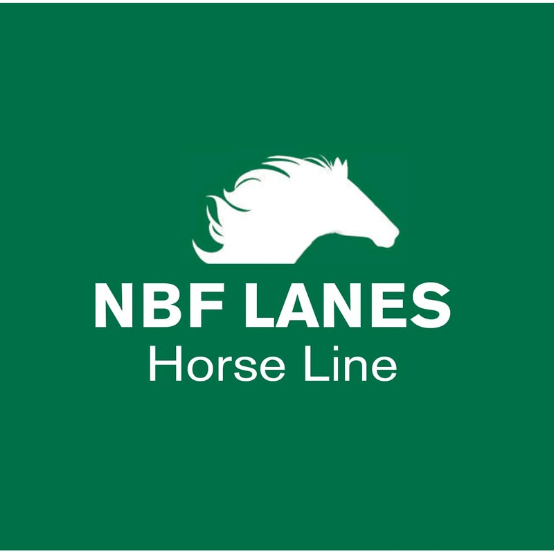NBF Lanes Ribes Horse Respiro 10 Bags of 25 ml