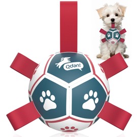 QDAN - Bolas de juguetes para perros con campana interior, bolas duraderas para tirar de la guerra, regalos de cumpleaños para cachorros, juguetes de agua para perros, bola chirriante para perros