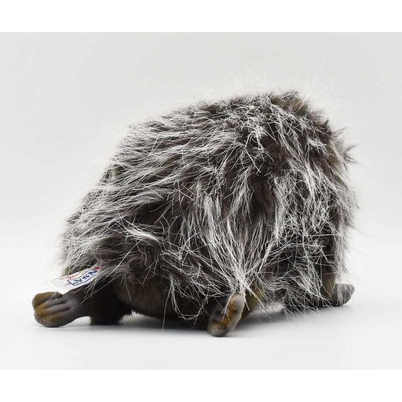 Echidna 11 inches 28cm