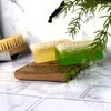 Earth Sabun Natural Handmade Pumpkin Fiber Aloe Vera Loofah for