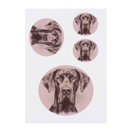 4 x 'Vintage Great Dane Portrait' Temporary Tattoos - Water Resistant, Skin-Safe, Non-Toxic Transfers, Mixed Sizes (TO00080632)