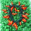 LUCKY SHINE 35 Red Pepper Decorative Lighting String, Commercial Grade