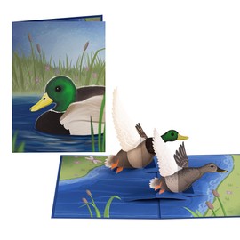 Lovepop Everyday Pop-Up Card for Her and Him - 3D Greeting Cards for Boys, Girls, Men, Women - Pondside Mallard Ducks -5" x 7" Bird Card - Blank Notecard and Envelope Included
