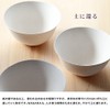 Disposable Paper Plates WASARA Plates 6 Count (Package)