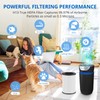 2 Pack AP-T45 AP-T40FL HEPA Replacement Filter Compatible with 1461901