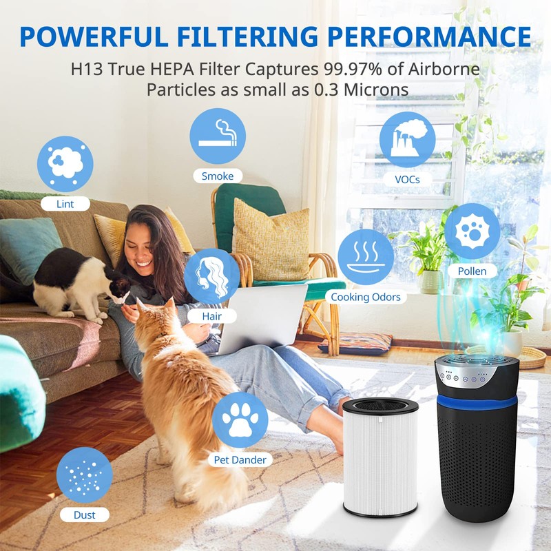 2 Pack AP-T45 AP-T40FL HEPA Replacement Filter Compatible with 1461901