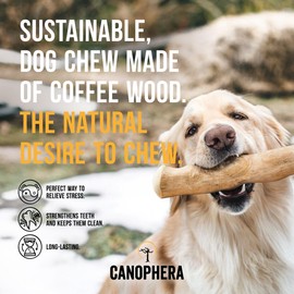 Canophera Dog CHEW Stick Made of Coffee Tree Wood Small 2 Pack