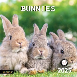 2024 2025 Wall Calendar,Calendar 2025, July 2024 - December 2025, Wall Calendar Rabbit, 12" x 24" Opened,Full Page Months Thick & Sturdy Paper for Gift Kids Teen Calendar Organizing & Planning