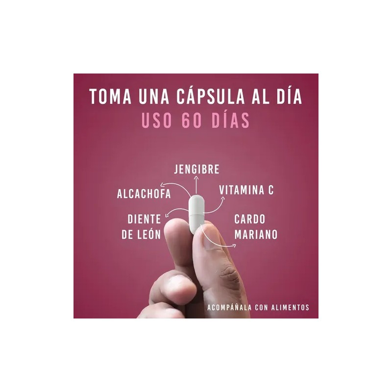 Cardo Mariano, Diente de Léon, Jengibre, Alcachofa y Vitamina C