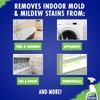 30 Seconds Mold & Mildew Stain Remover Spray- Indoor &