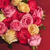 Jurlique Rose Body Oil 200ml