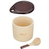 Ishigaki Sangyo Salt Pot, 10.1 fl oz (300 ml), Spoon