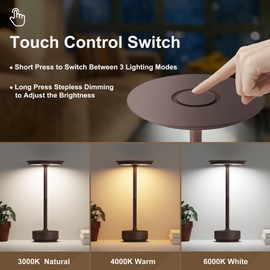 FDIDC Rechargeable Cordless Table Lamps,Portable 5000mAh Table Light Touch 3 Color Stepless Dimming Battery Powered LED Metal Table Lamp for Restaurant/Home/Outdoor/Camping.(Rust)