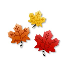 Roeda Brighten Your Life 25030wm Maple Leaf Set of 3 Assorted Magnets