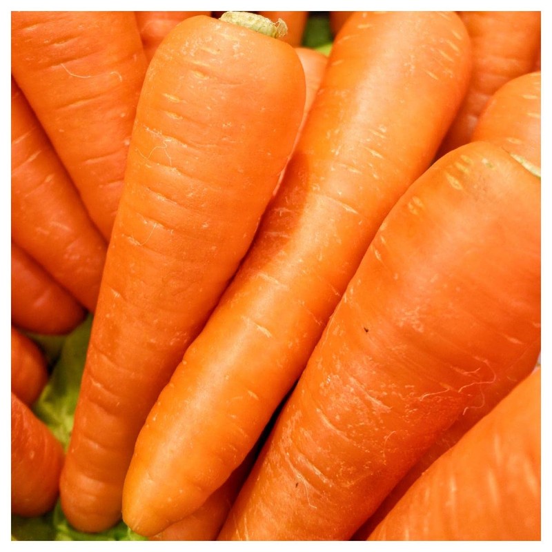 Everwilde Farms - 2000 Chantenay Royal Carrot Seeds - Gold