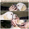 ANDA Gentle Leader Ultra-Light No-Pull Dog Headcollar: Adjustable, Breathable Comfort,