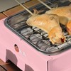 Charcoal Grill Single Use Compact Detachable Stainless Steel Portable Barbecue