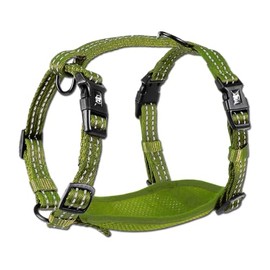 Alcott Adventure Harness with Reflective Stitching & Mesh Padding, Small, Green