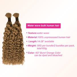 Human Braiding Hair 27 for Boho Braids Human Hair Water Wave 24 Inch 2 Bundles 100g Wet and Wavy Human Hair for Boho Knotless Braids Bulk Boho Human Hair Extensions (27# color, 24 inch)