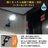 Yamazen BOS-5 Security Set of 5 Dummy Camera, Solar Sensor