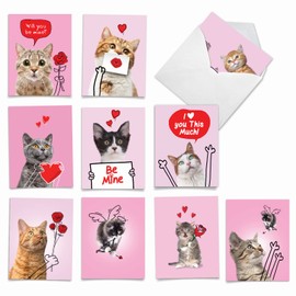 The Best Card Company - 10 Assorted Valentine's Day Note Cards (4 x 5.12 Inch) - Boxed Valentine Cards, Bulk Set with Envelopes - Cat Love Doodles AM9188VDG-B1x10