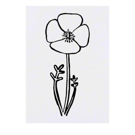'Poppy' Temporary Tattoo - Water Resistant, Skin-Safe, Non-Toxic Transfer (TO00029631)