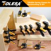 TOLESA 10 Inch Spring Clamps for Woodworking 2PC Large Wood