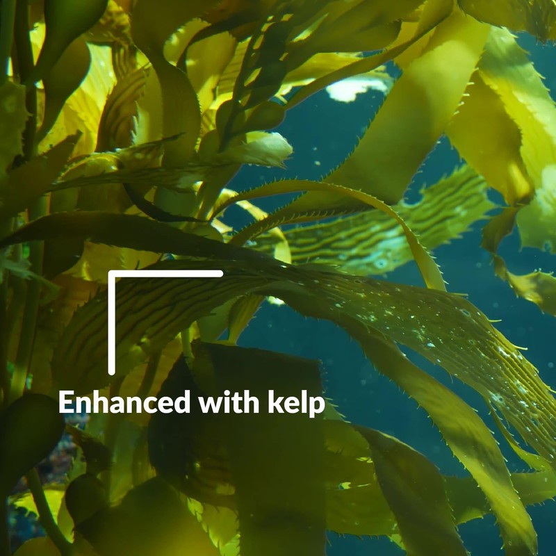 SUPERthrive Original Plant Vitamin Solution with Kelp for All Plants,