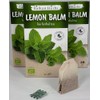 BALKAN HERBS Organic Melissa Tea, 60 Tea Bags x 2.0