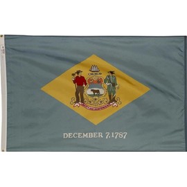 3x5 Foot (90x150 cm) State Polyester Indoor/Outdoor Flag; Vivid Color and Fade Proof - Canvas Header and Double Stitched (Delaware)