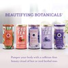 The Republic of Tea Beautifying Botanicals® Berry Aloe Herbal Iced