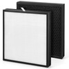 2 Pack Max V-Series Replacement Filter Compatible with Wynd Max