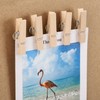 60 Pcs Wooden Clip Push Pins with Storage Bucket –