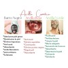Mascarilla Facial Corporal Sial Barro