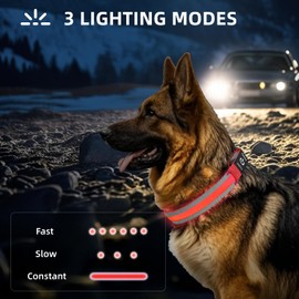 PetIsay Glow-in-The-Dark Dog Collar - Rechargeable IP68 Waterproof LED Collar with Reflective Strips & Metal Buckle Light up Collar for Night Walking, Hiking, Camping (Large, Green)