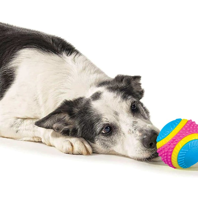 PLATZ PET SUPPLISE&FUN Dog Toy, Sensory Ball, Medium Size