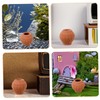 CAXUSD 2pc Mini Clay Pots Set Handmade Flower Pots for