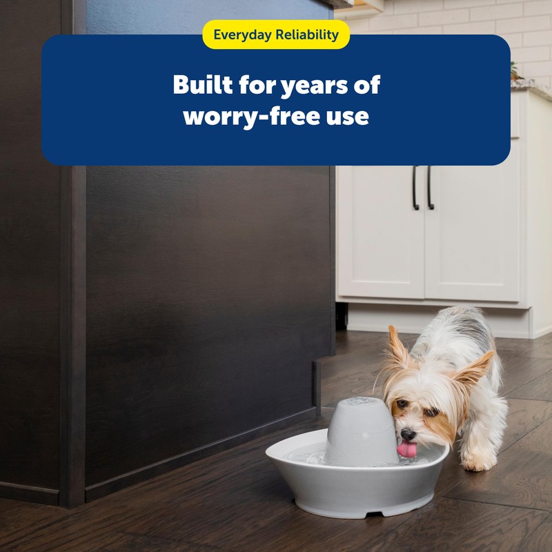 PetSafe Drinkwell Replacement Foam Filters - Improves Water Cleanliness -