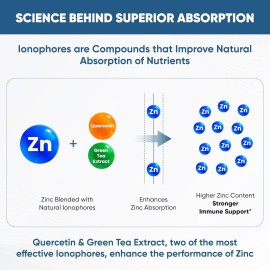 Sandhu's Zinc Supplement with Ionophores| Quercetin & Green Tea Extract for S...