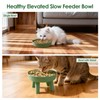 Silicone Slow Feeder Cat Bowl with Detachable Stand, Green