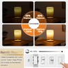 NOVELUX 5 Inch Edison Bulb, 2700K Soft White E26 Led