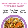 Weruva Awesome Belly Wet Dog Food, Beef & White Rice,